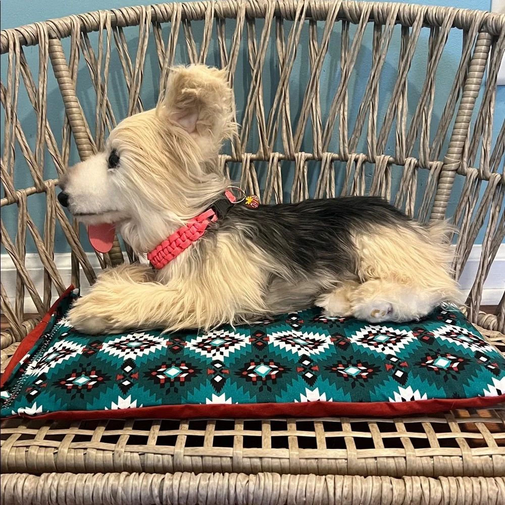 Beautiful extra small pet crate pad. Southwestern design by southern for a baby.